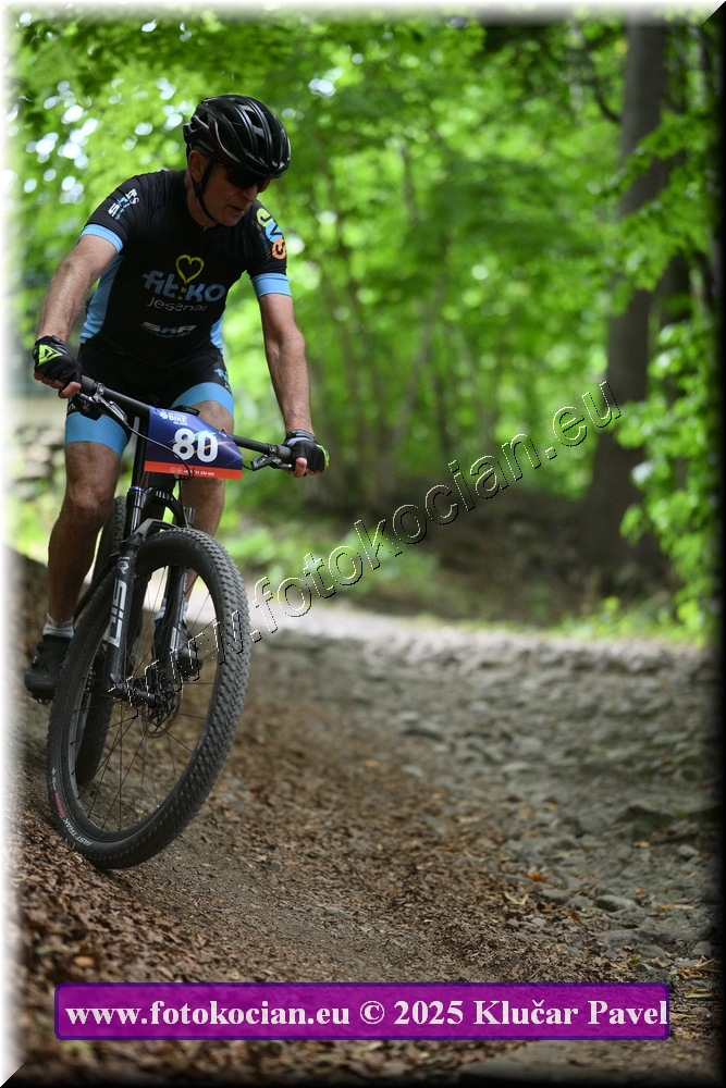 Náhled obrázku: 2025-4183-Celadna-80.JPG