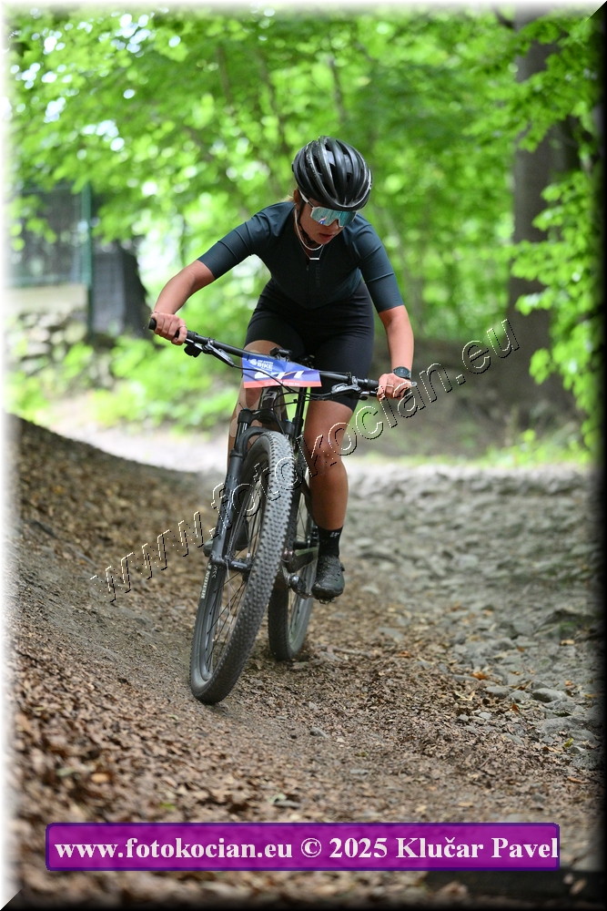 Náhled obrázku: 2025-4190-Celadna-477.JPG