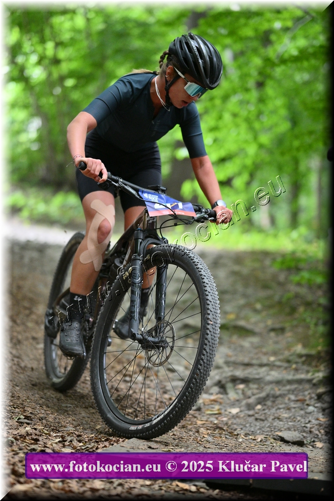 Náhled obrázku: 2025-4191-Celadna-477.JPG