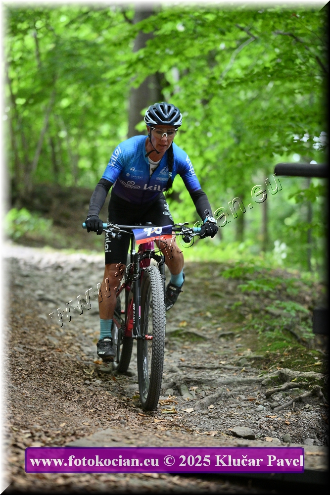 Náhled obrázku: 2025-4195-Celadna-95.JPG