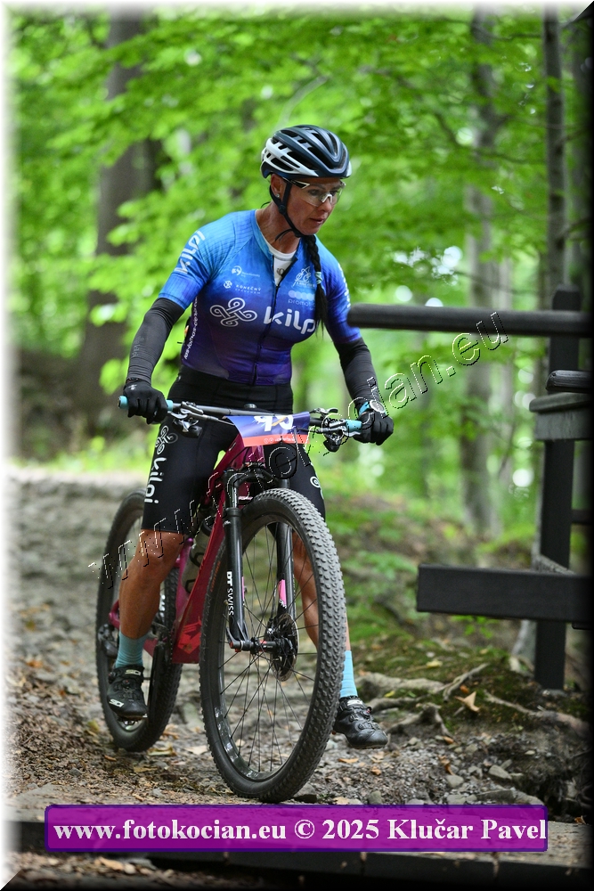 Náhled obrázku: 2025-4196-Celadna-95.JPG