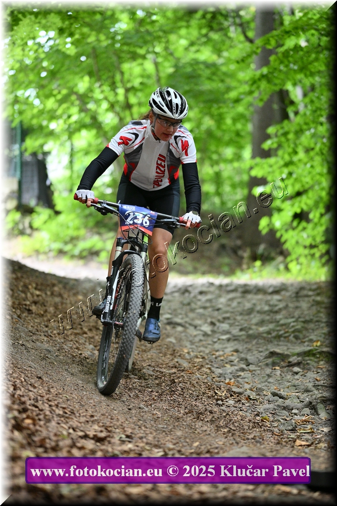 Náhled obrázku: 2025-4197-Celadna-236.JPG