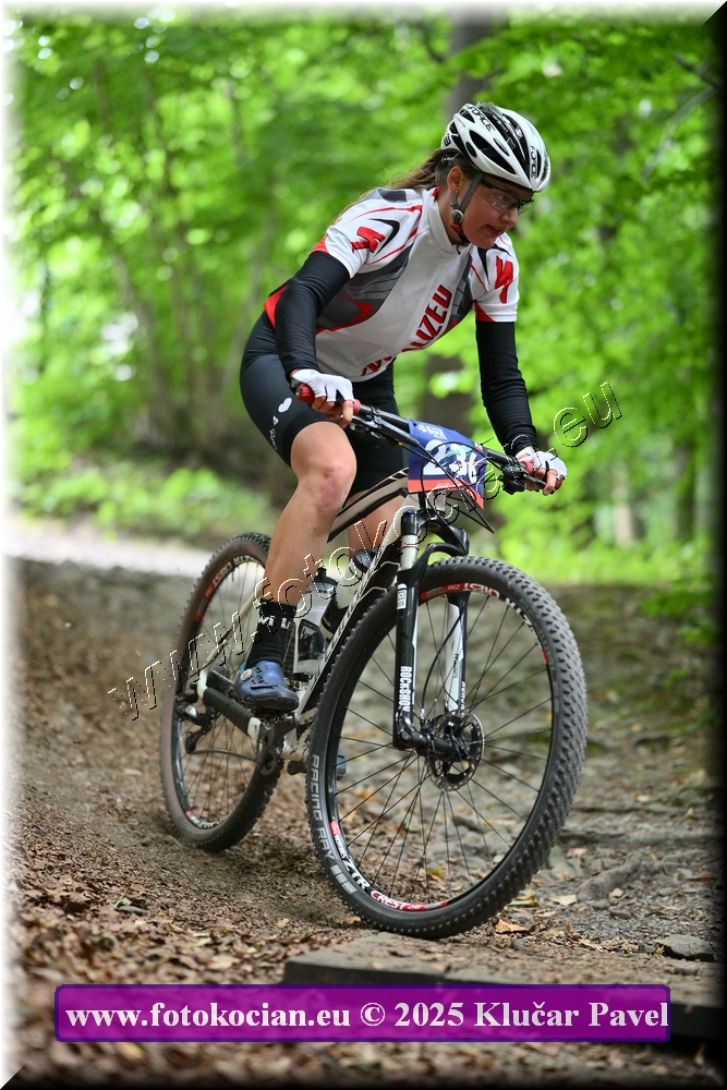 Náhled obrázku: 2025-4198-Celadna-236.JPG