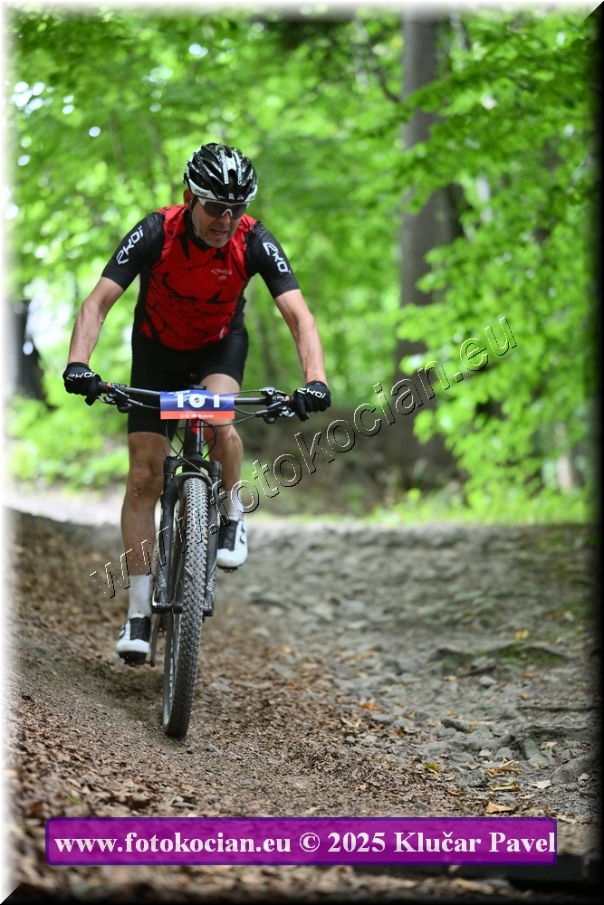 Náhled obrázku: 2025-4199-Celadna-161.JPG