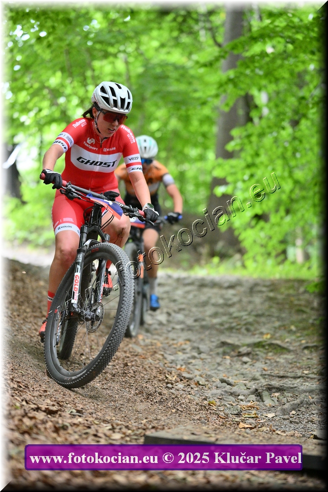 Náhled obrázku: 2025-4203-Celadna-4.JPG