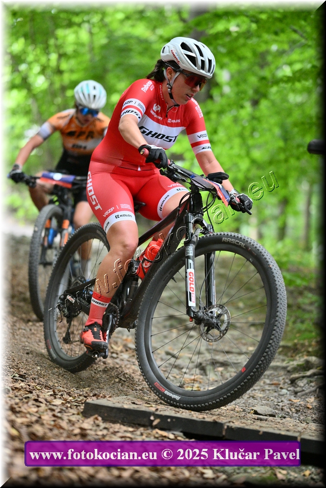 Náhled obrázku: 2025-4204-Celadna-4.JPG