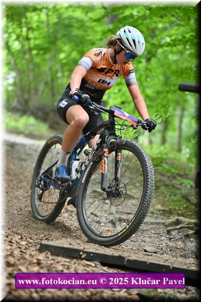 Náhled obrázku: 2025-4205-Celadna-6.JPG