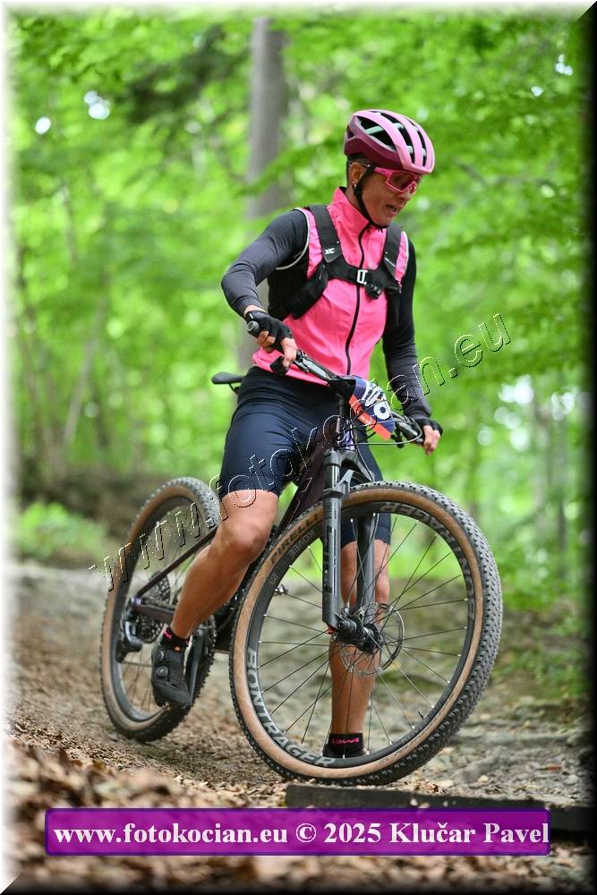 Náhled obrázku: 2025-4220-Celadna-108.JPG