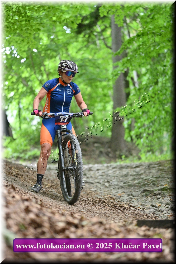 Náhled obrázku: 2025-4262-Celadna-77.JPG