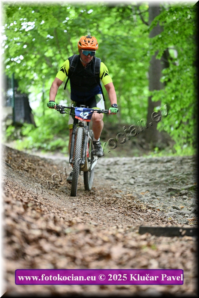 Náhled obrázku: 2025-4270-Celadna-42.JPG