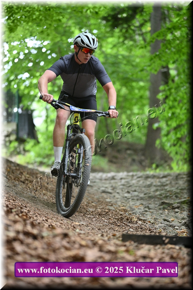 Náhled obrázku: 2025-4302-Celadna-0.JPG