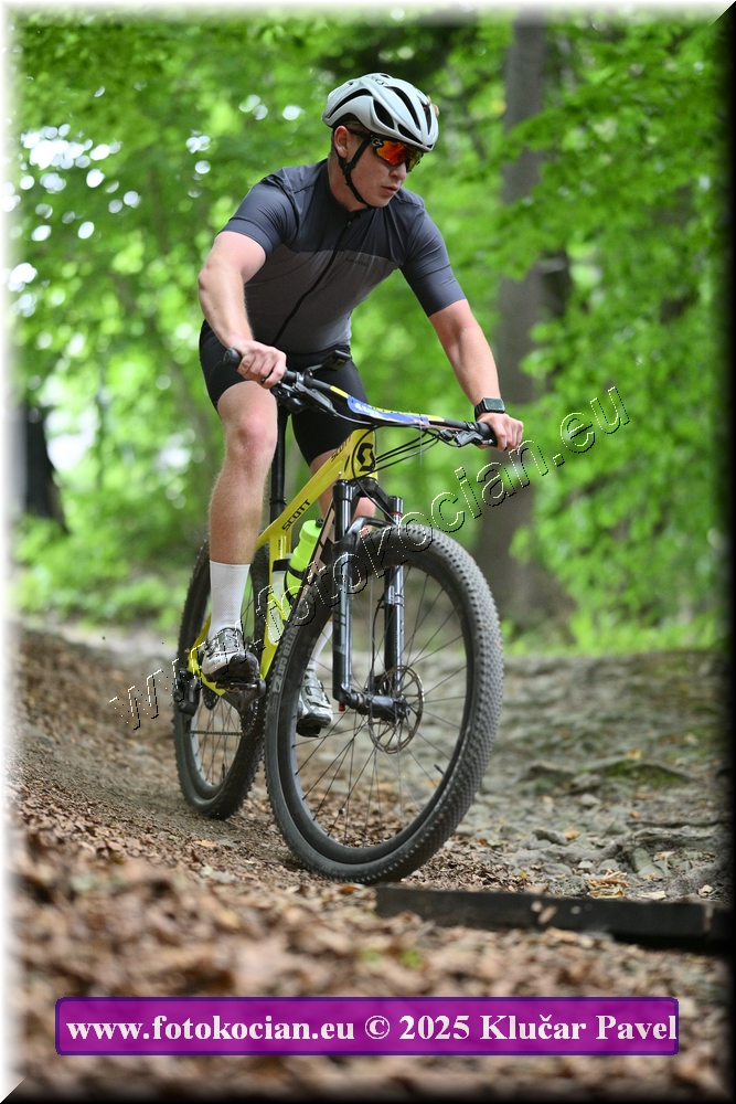 Náhled obrázku: 2025-4303-Celadna-0.JPG