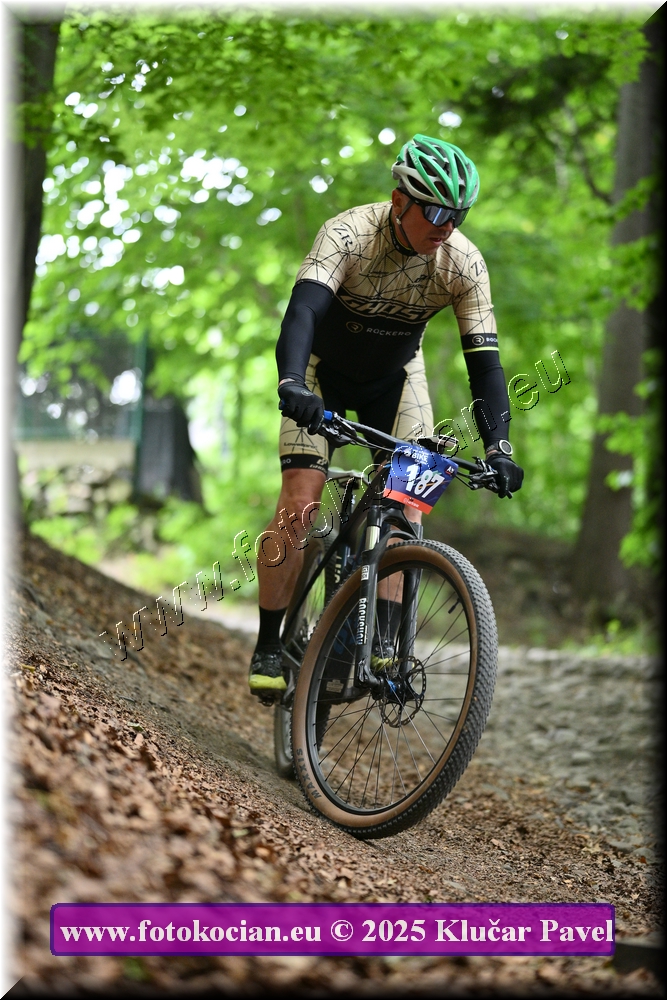 Náhled obrázku: 2025-4334-Celadna-187.JPG