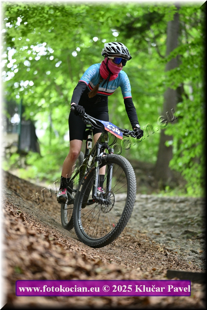 Náhled obrázku: 2025-4335-Celadna-234.JPG