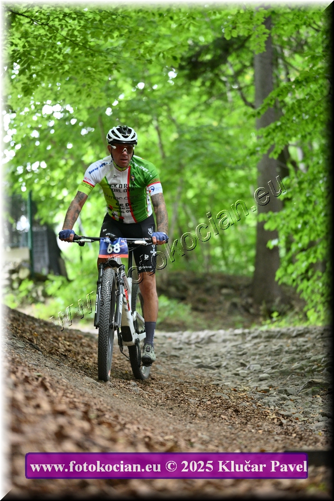 Náhled obrázku: 2025-4338-Celadna-68.JPG