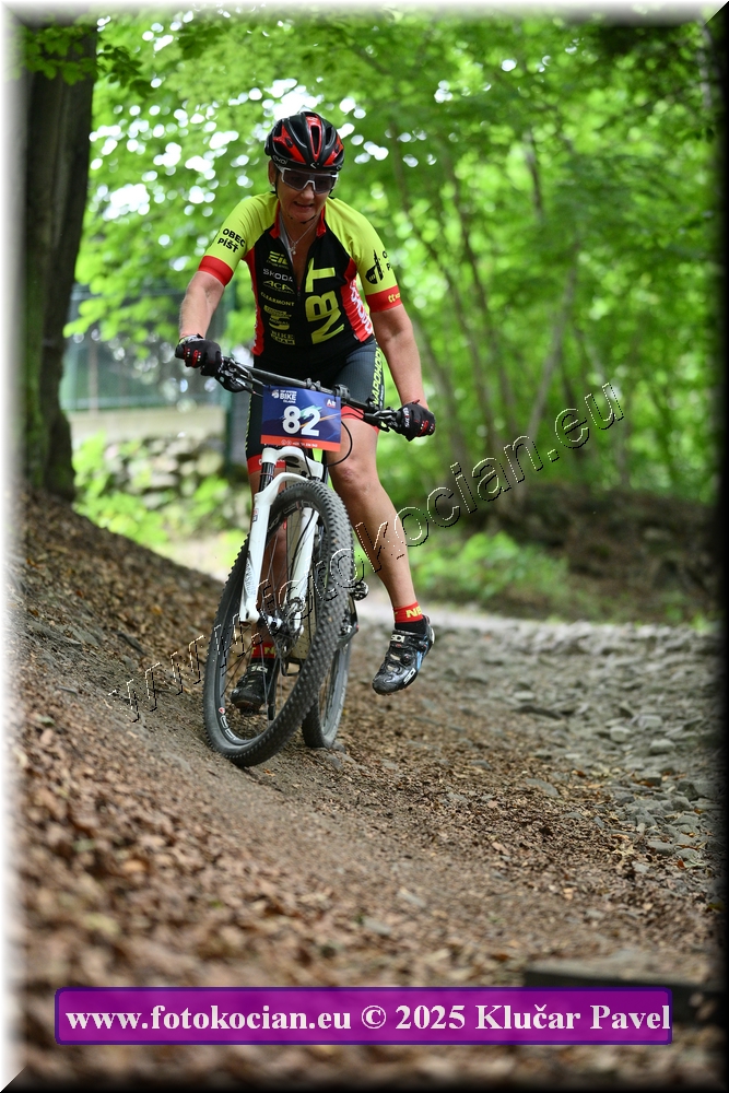 Náhled obrázku: 2025-4341-Celadna-82.JPG