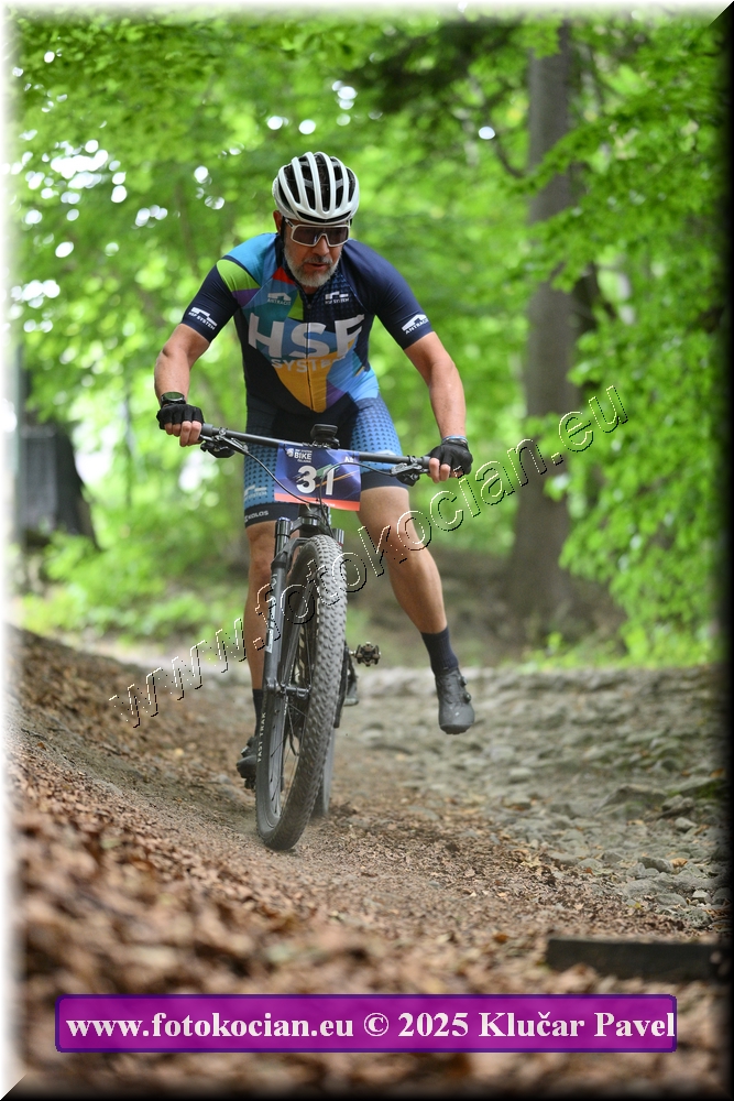 Náhled obrázku: 2025-4355-Celadna-31.JPG