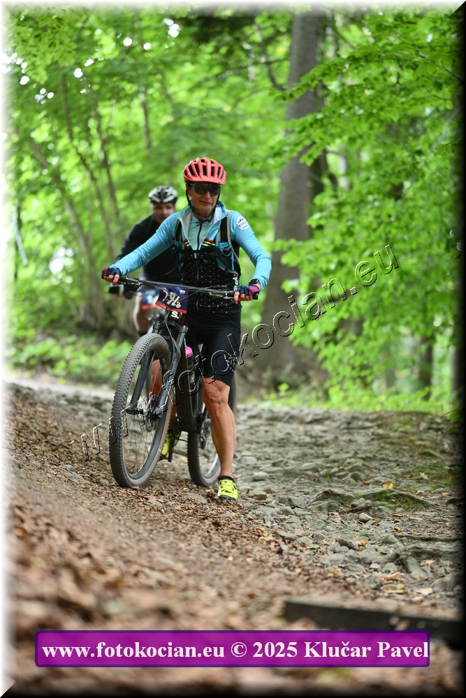 Náhled obrázku: 2025-4363-Celadna-194.JPG