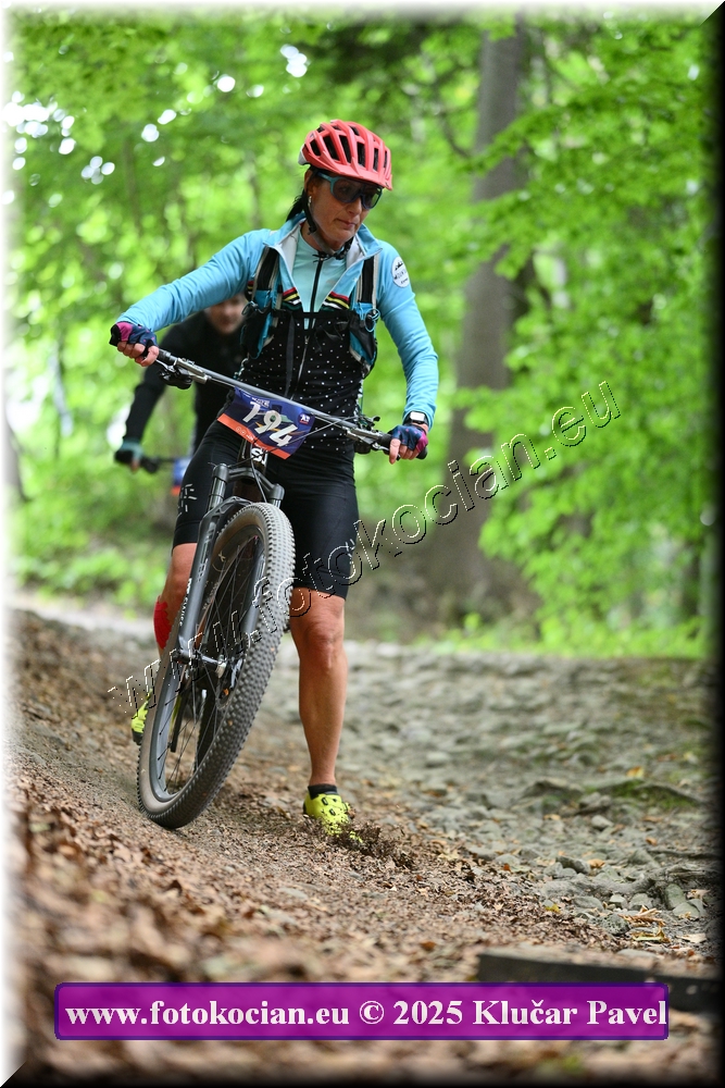 Náhled obrázku: 2025-4364-Celadna-194.JPG