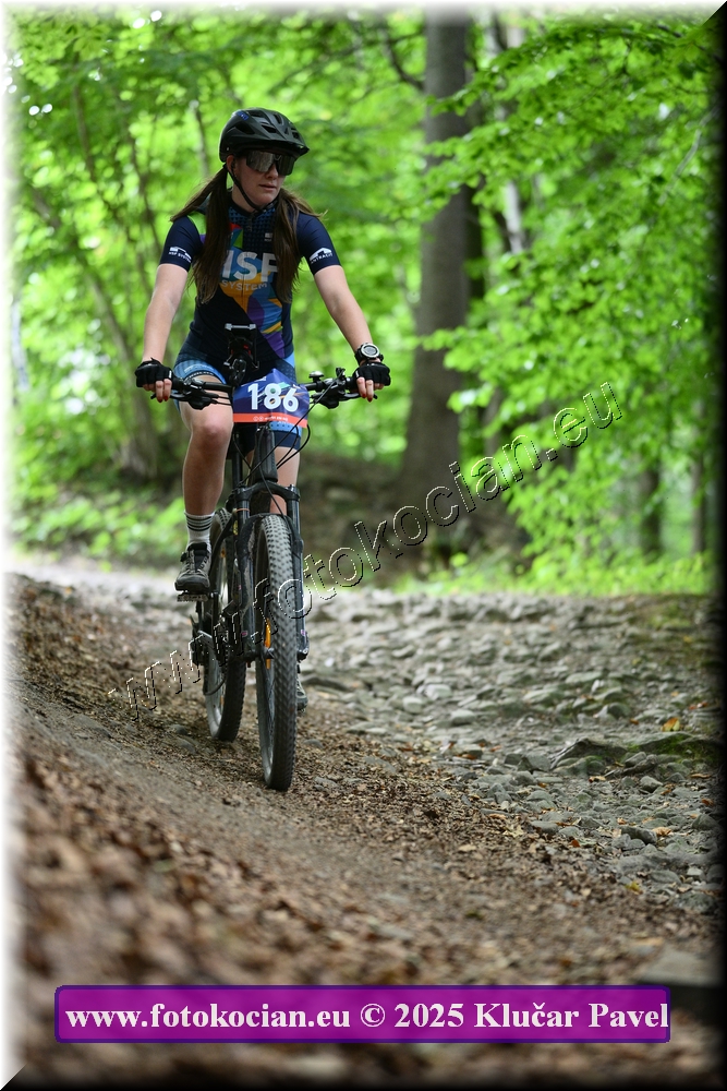 Náhled obrázku: 2025-4376-Celadna-186.JPG