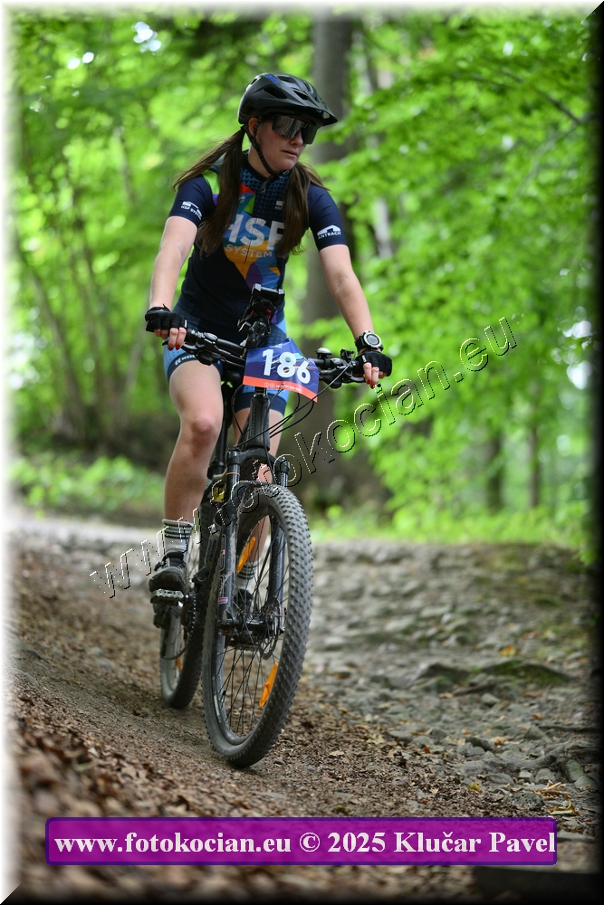 Náhled obrázku: 2025-4377-Celadna-186.JPG