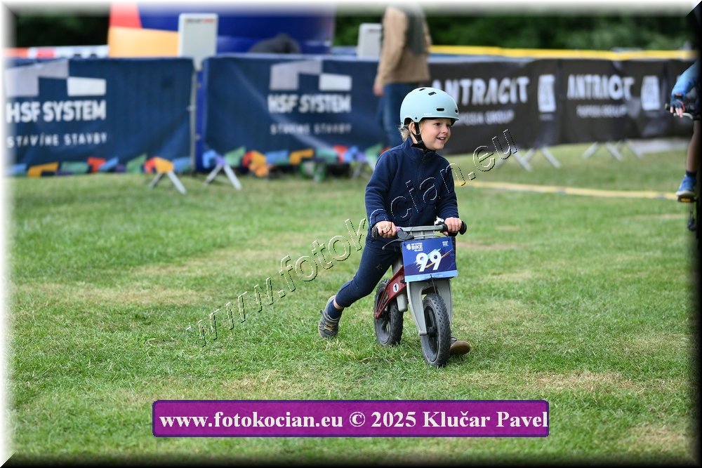 Náhled obrázku: 2025-3000-Celadna-.JPG