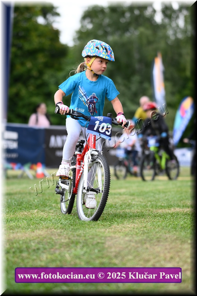 Náhled obrázku: 2025-3008-Celadna-.JPG