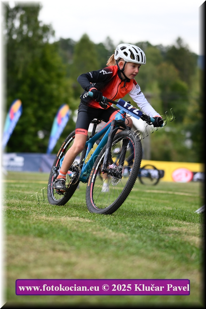 Náhled obrázku: 2025-3012-Celadna-.JPG