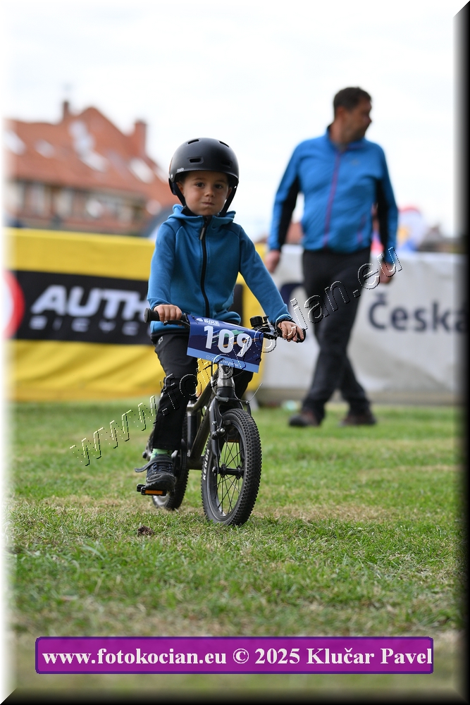 Náhled obrázku: 2025-3020-Celadna-.JPG