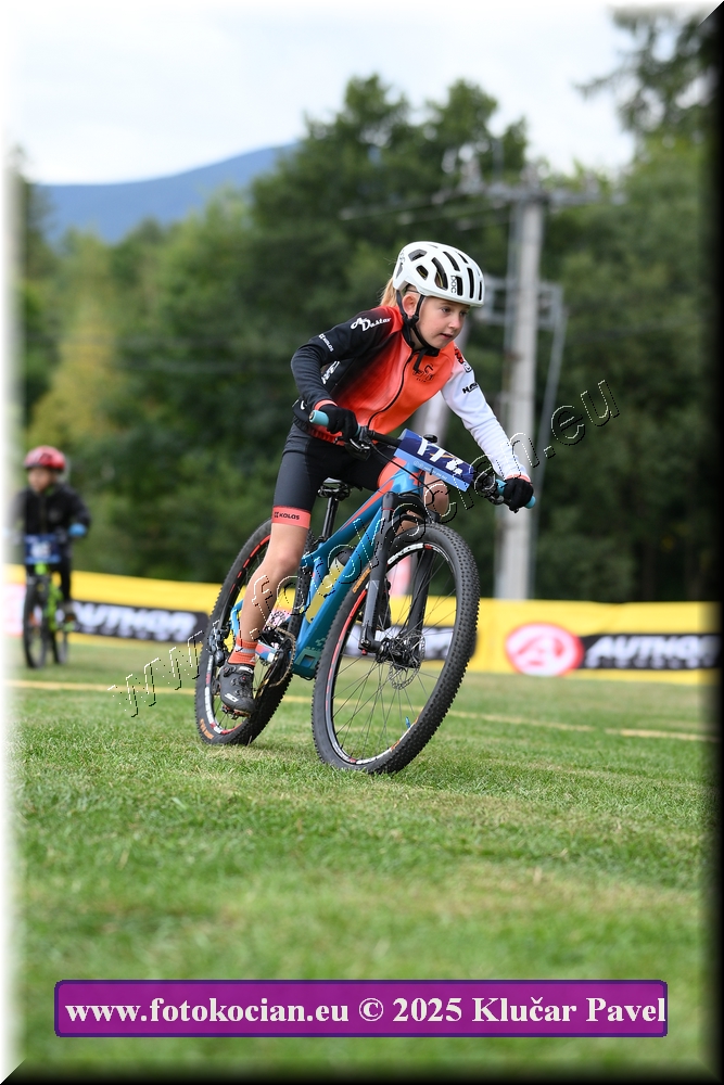 Náhled obrázku: 2025-3022-Celadna-.JPG