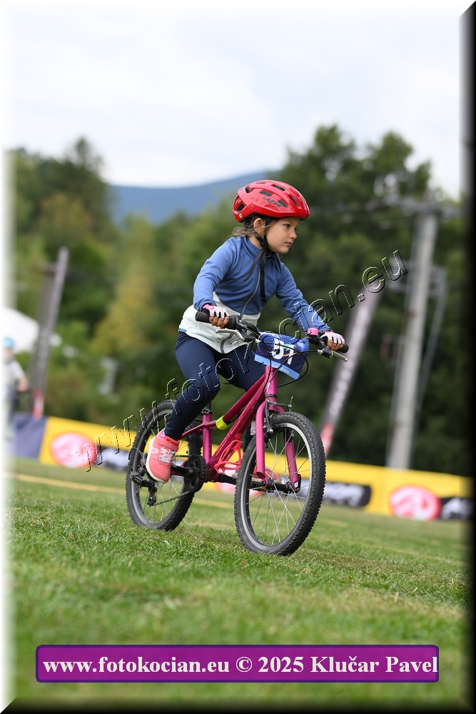 Náhled obrázku: 2025-3033-Celadna-.JPG