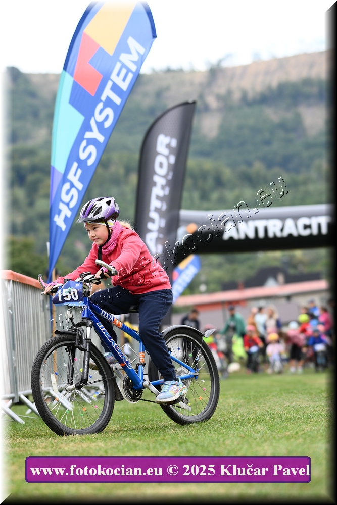 Náhled obrázku: 2025-3070-Celadna-.JPG