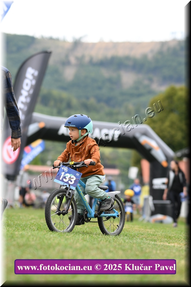 Náhled obrázku: 2025-3101-Celadna-.JPG