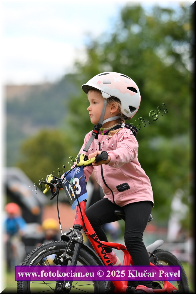 Náhled obrázku: 2025-3105-Celadna-.JPG