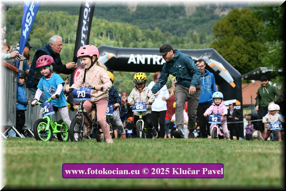 Náhled obrázku: 2025-3129-Celadna-.JPG