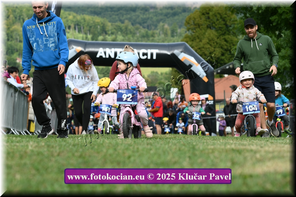 Náhled obrázku: 2025-3132-Celadna-.JPG