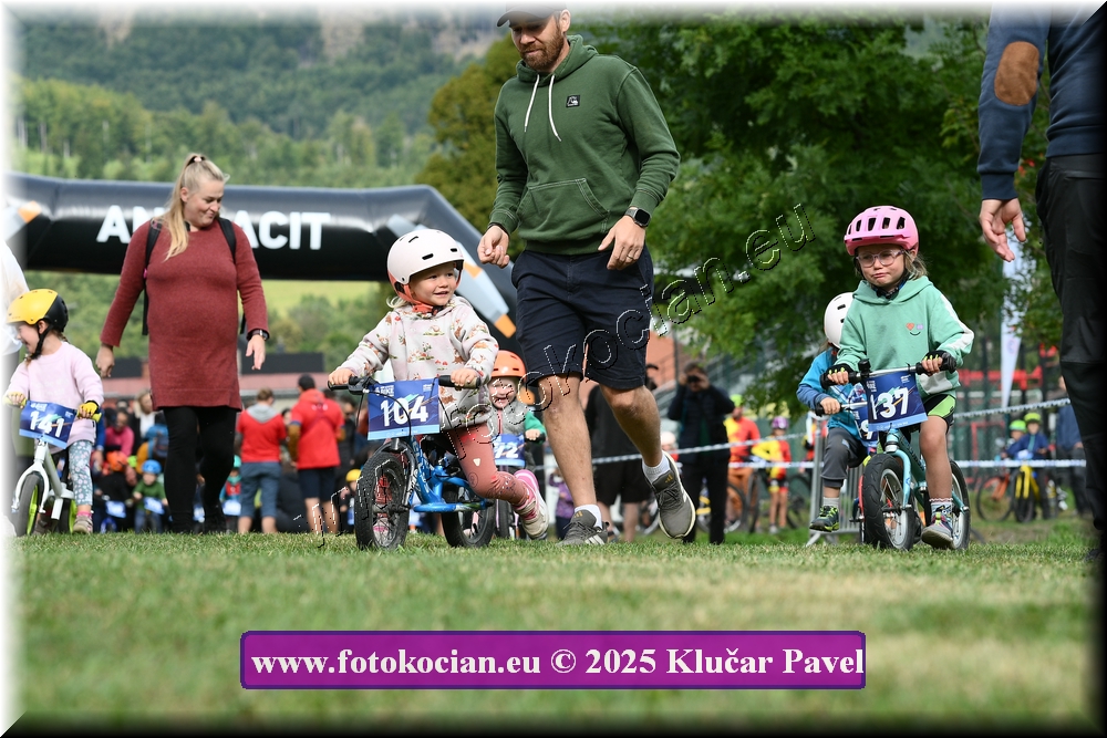 Náhled obrázku: 2025-3133-Celadna-.JPG