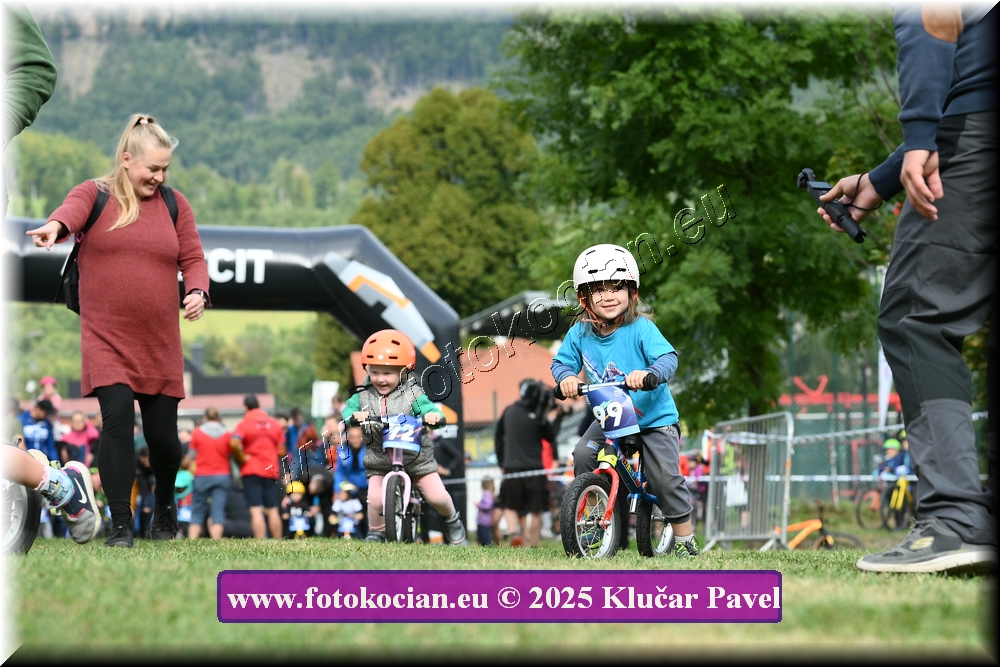 Náhled obrázku: 2025-3135-Celadna-.JPG