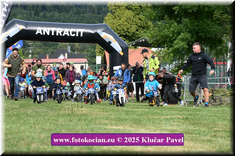 Náhled obrázku: 2025-3139-Celadna-.JPG