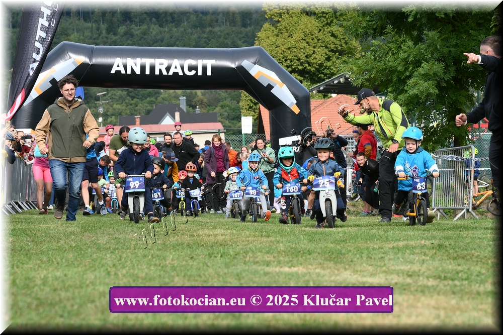 Náhled obrázku: 2025-3141-Celadna-.JPG