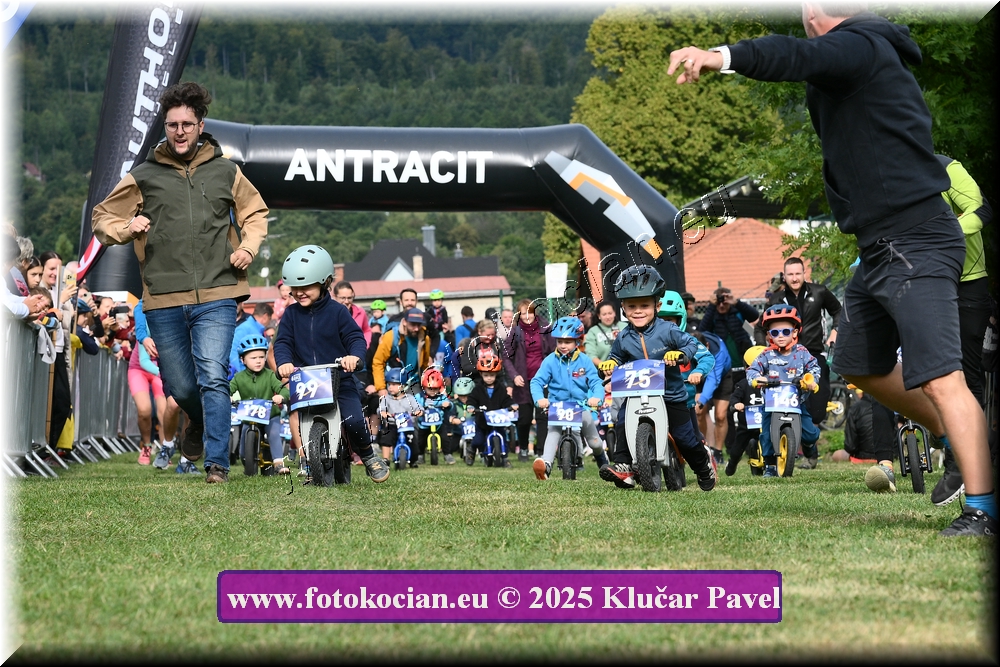 Náhled obrázku: 2025-3142-Celadna-.JPG