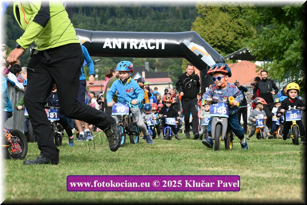 Náhled obrázku: 2025-3145-Celadna-.JPG