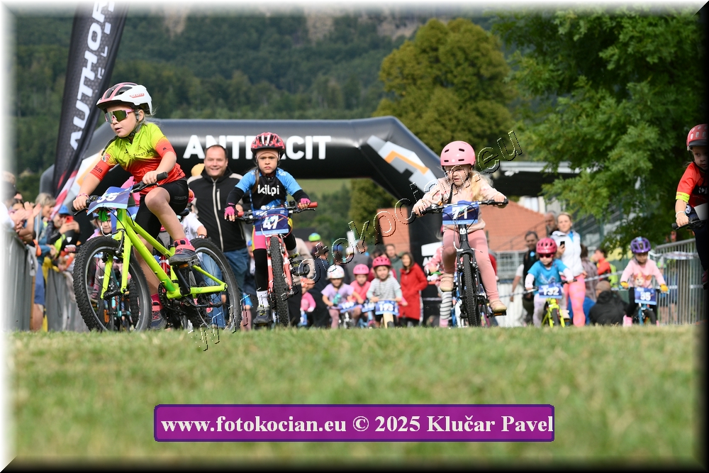 Náhled obrázku: 2025-3172-Celadna-.JPG