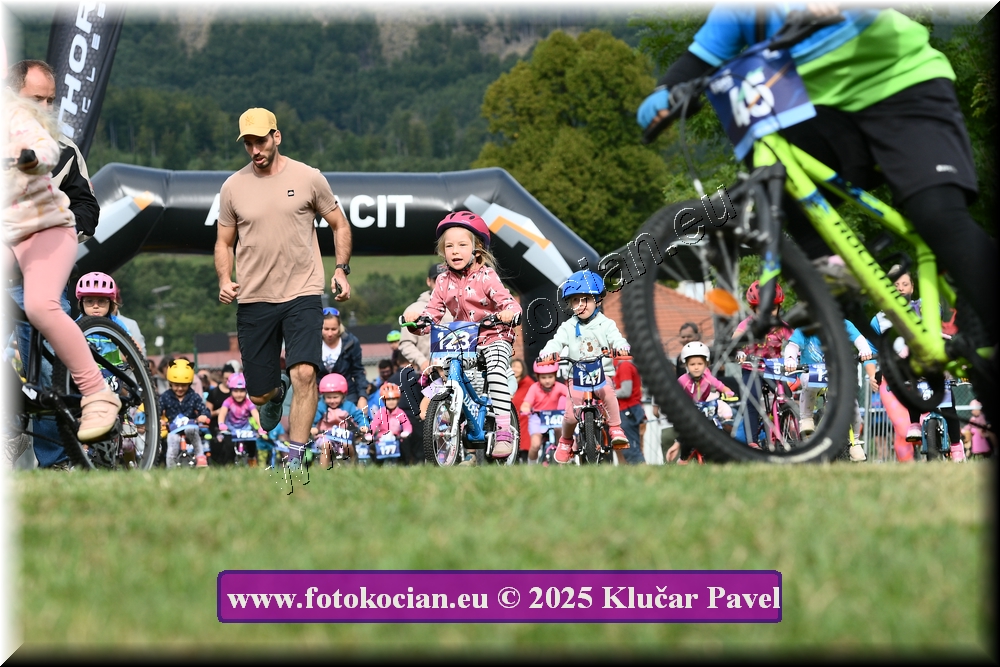 Náhled obrázku: 2025-3174-Celadna-.JPG