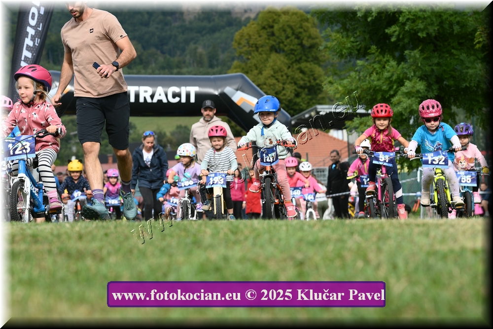 Náhled obrázku: 2025-3176-Celadna-.JPG