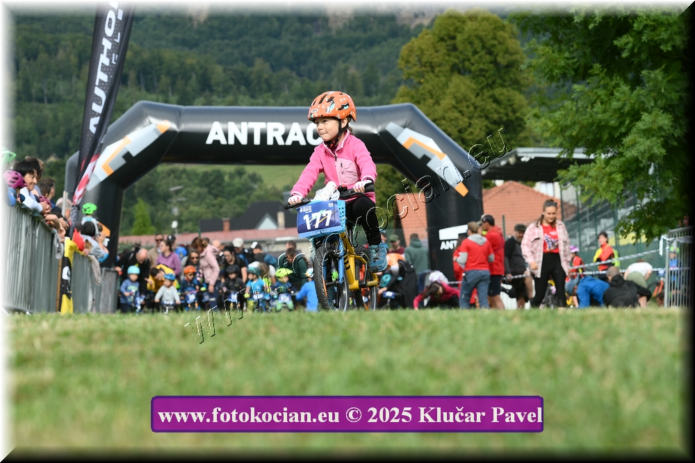 Náhled obrázku: 2025-3180-Celadna-.JPG