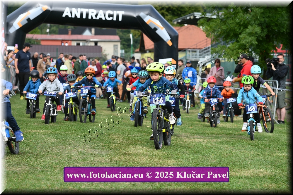 Náhled obrázku: 2025-3183-Celadna-.JPG