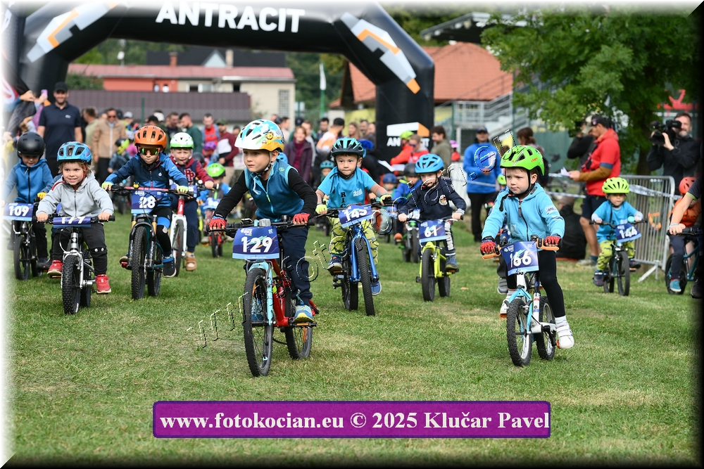 Náhled obrázku: 2025-3184-Celadna-.JPG