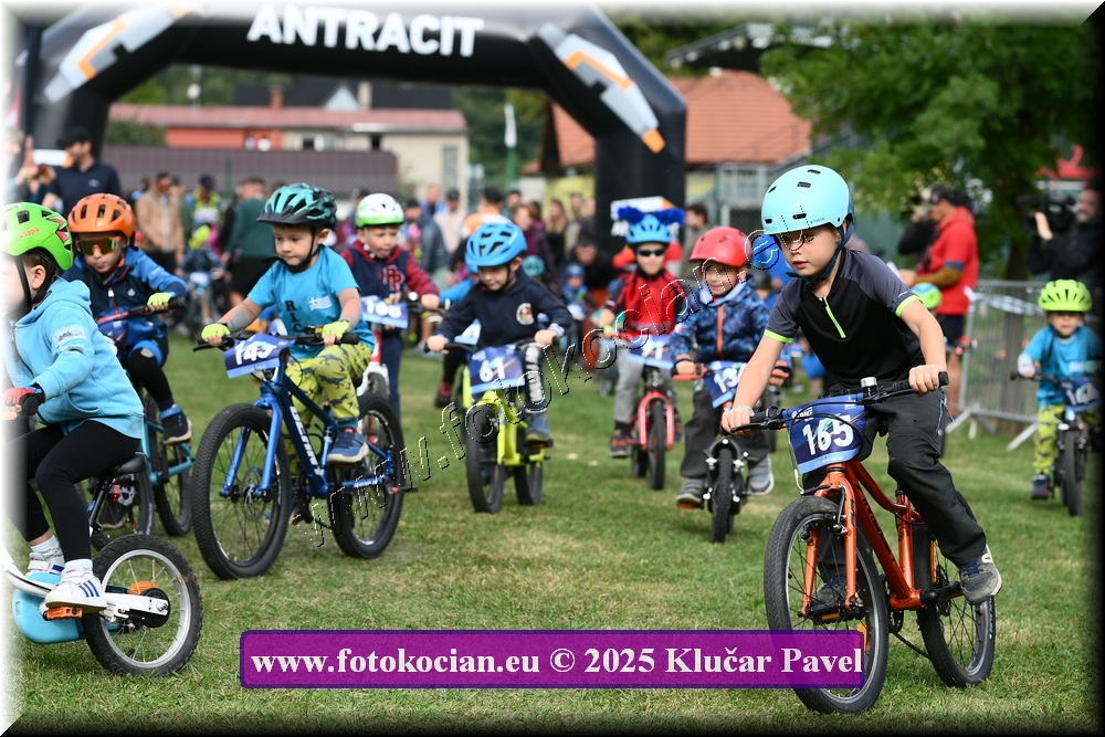 Náhled obrázku: 2025-3185-Celadna-.JPG