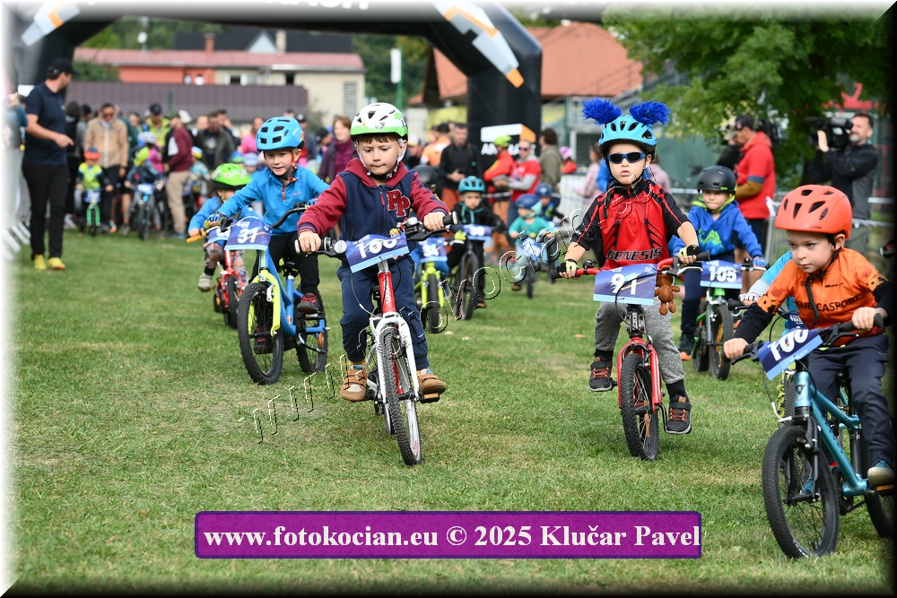 Náhled obrázku: 2025-3187-Celadna-.JPG